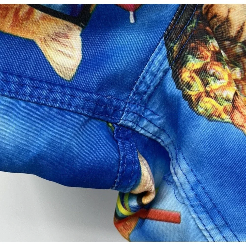 Bioworld Men's Swim Board Shorts Trunks Pineapple Drink Kitty Cat Size Small